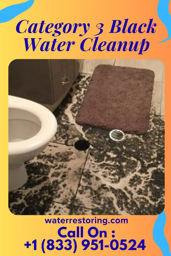 Category 3 Black Water Cleanup in West Leipsic, OH
