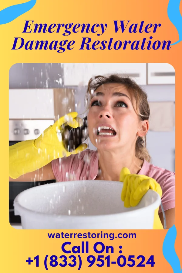 Emergency Water Damage Restoration in West Leipsic, OH