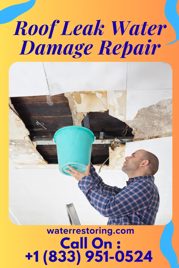 Roof Leak Water Damage Repair in West Leipsic, OH