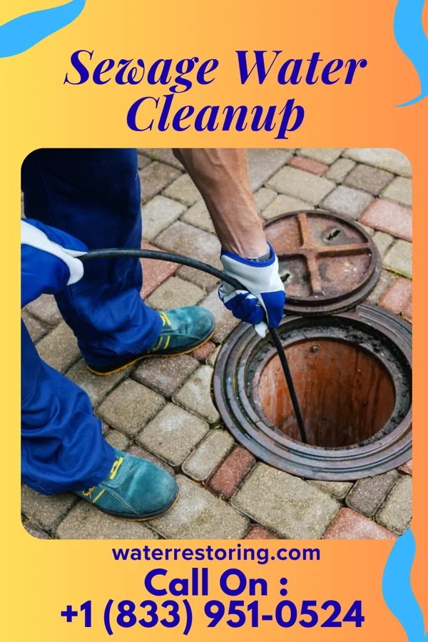 Sewage Water Cleanup in West Leipsic, OH